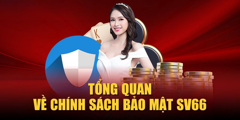 Tổng quan về chính sách bảo mật SV66